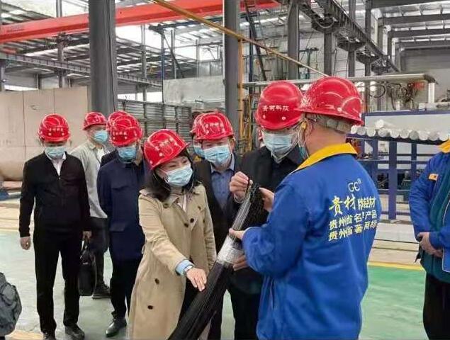 貴陽市常委、市工商聯(lián)、廣東總商會一行到我廠調(diào)研